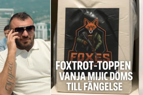 Vanja Mijic