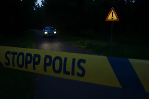 Farligt föremål Ljungby