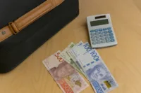 återvandringsbidraget