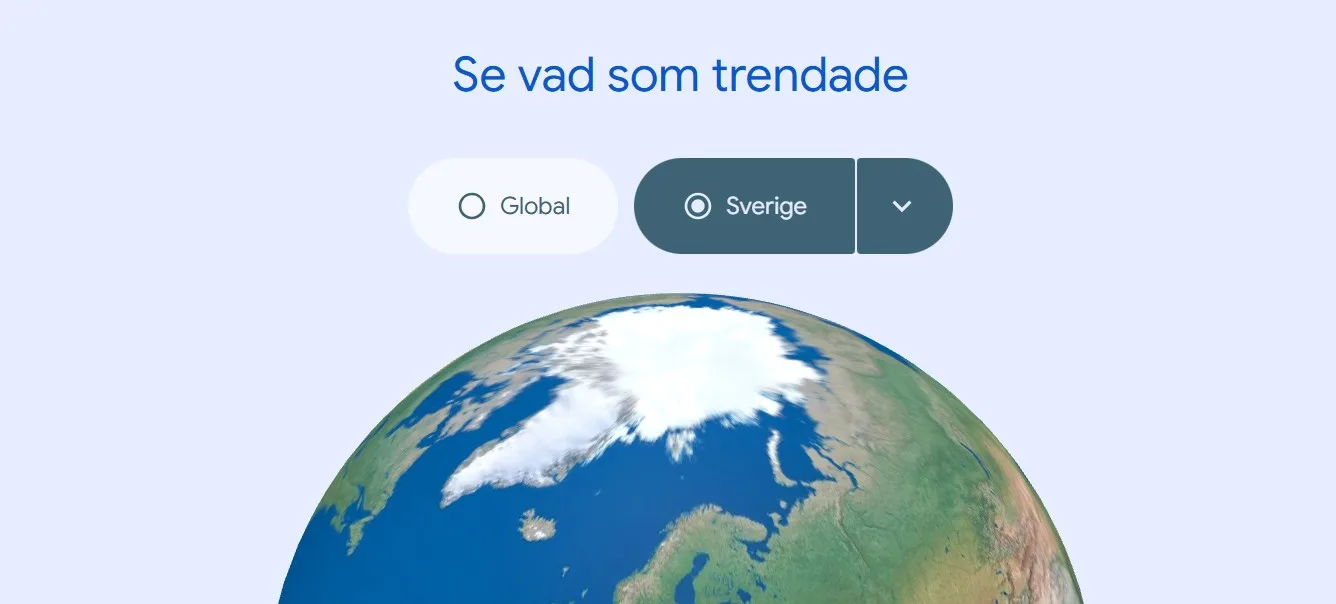 Årets mest trendande sökningar