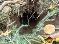 Människosmuggling via tunnel