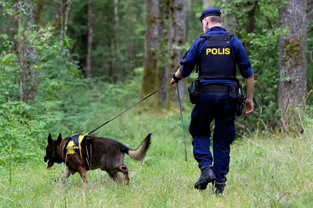 Polisens sökhund