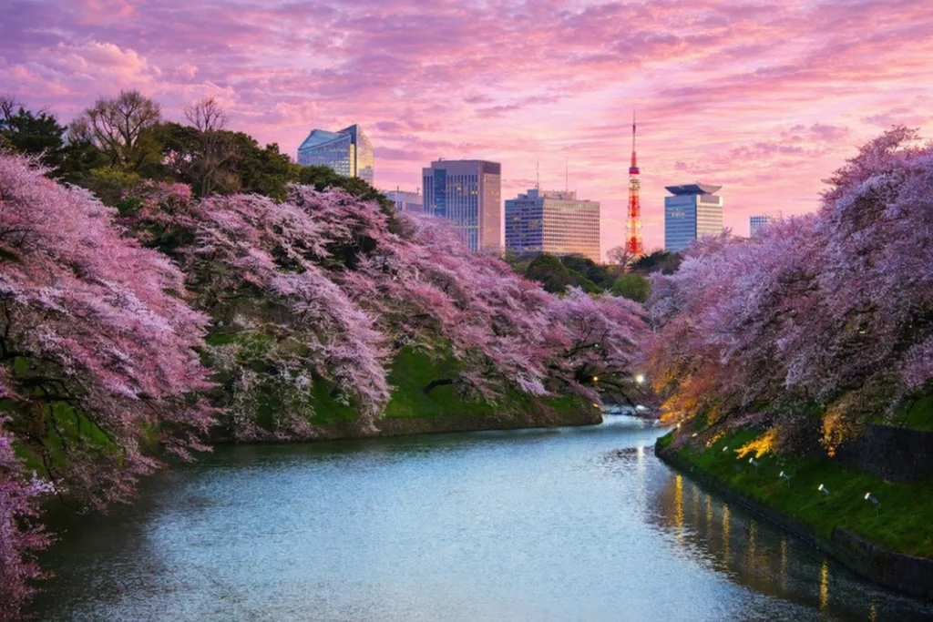 Tokyo-Japan